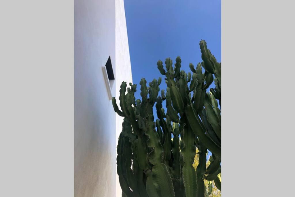 Casa Granado En Cabo De Gata Villa Rodalquilar Bagian luar foto